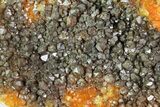 Quartz Cluster with Iron/Manganese Oxide - Diamond Hill, SC #81309-1